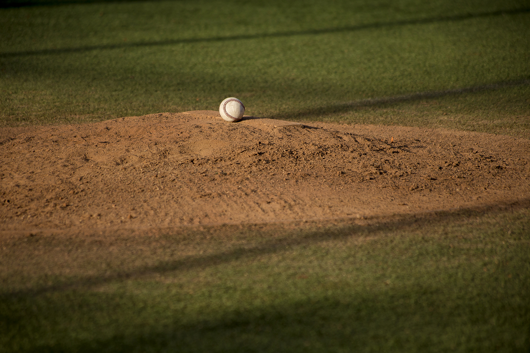 Hammerheads Baseball